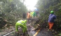 27 Titik Banjir dan Longsor Terjadi di Taput: Jalinsum Sempat Tertutup, 98 Rumah Terdampak