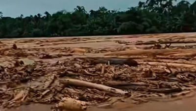 WALHI Sumut: Perusahaan Aktor Utama Penyebab Krisis Ekologis di Tapanuli