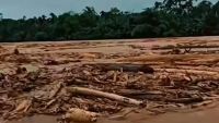 WALHI Sumut: Perusahaan Aktor Utama Penyebab Krisis Ekologis di Tapanuli