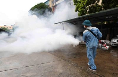 Jumlah Kasus Demam Berdarah Melonjak di Ibukota Vietnam