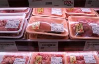 Jepang Konfirmasi Wabah Flu Burung Ketiga di Niigata, 630 Ribu Ayam Petelur Dimusnahkan