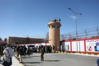 565 Narapidana Afghanistan Dibebaskan dari Penjara di Pakistan dan Irak