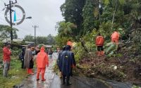 Delapan Warga Meninggal Dunia Akibat Banjir dan Longsor Tapanuli Selatan