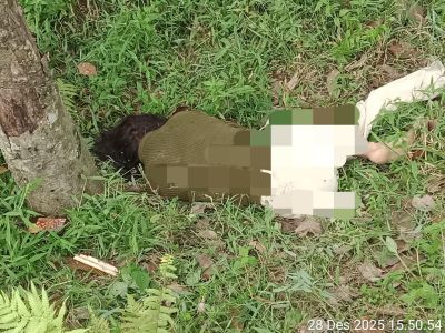 Geger, Remaja Perempuan 15 Tahun Ditemukan Tewas di Areal Perkebunan Bridgestone Simalungun