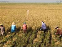 Tingkat Hunian Hotel di Sumut Naik Tipis pada Oktober 2025, Namun Masih Jauh dari Capaian Tahun Lalu ​