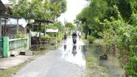 Banjir Sudah Surut, Tersisa 29 Desa di Lima Kecamatan Masih Tergenang