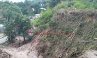 Satreskrim Polres Toba Tindaklanjuti Aduan Penebangan Kayu di Kawasan Hutan Sianipar Sihail-hail