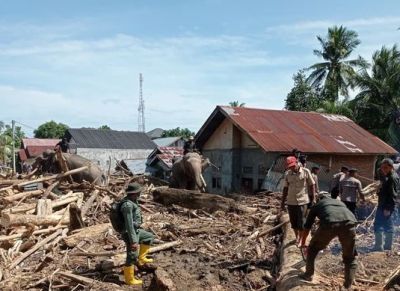 BKSDA Turunkan 4 Gajah Terlatih Bantu Pemulihan Pascabanjir di Pidie Jaya Aceh