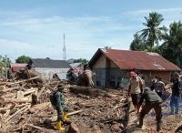 BKSDA Turunkan 4 Gajah Terlatih Bantu Pemulihan Pascabanjir di Pidie Jaya Aceh