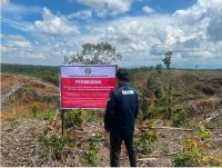 Kerusakan Hulu DAS Tapanuli Picu Bencana, Gakkum Kehutanan Audit dan Kumpulkan Keterangan 12 Subjek Korporasi-Perorangan