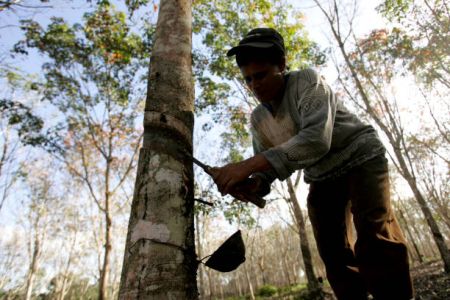 Ekspor Karet Sumut 2025 Turun 1,97% di Tengah Dinamika Pasar Global