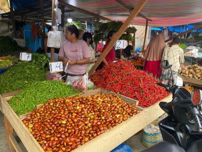 Deflasi Bayangi Sumut di Januari, Harga Pangan Anjlok Rugikan Petani