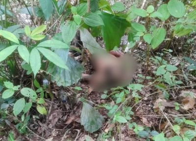 Warga Pijorkoling Padangsidimpuan Geger, Sesosok Pria Ditemukan Tewas
