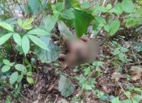 Warga Pijorkoling Padangsidimpuan Geger, Sesosok Pria Ditemukan Tewas