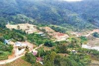 Dairi dalam Cengkeraman Krisis: Tambang dan Eksploitasi Hutan Menjadi Bom Waktu Bencana ​