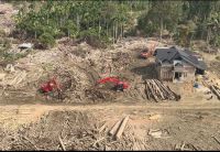 Kemenhut Manfaatkan Kayu Hanyutan Pascabanjir Aceh dan Sumut untuk Bangun Huntara