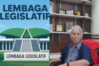 Pemisahan Pemilu Nasional dan Daerah Dinilai Ancam Demokrasi Lokal, Masa Transisi 2029-2031 Jadi Sorotan
