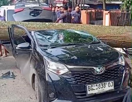 Pohon Berusia 40 Tahun Tumbang di Palembang, 3 Mobil Ringsek Tertimpa saat Bazar Pasar Murah