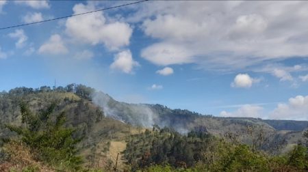 Kondisi hutan dan lahan di Kecamatan Harian, Kabupaten Samosir, Sumatera Utara, pada Kamis (3/7/2025) terlihat terbakar. (Foto: Junaidin Zai/Nusantaraterkini.co)