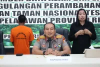 Misteri Gajah Tanpa Kepala di Pelalawan, Polisi Temukan Indikasi Perburuan Ilegal