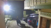 Dua Motor Mahasiswa USU Digasak Maling Sekaligus, Ini Pengakuan Korban
