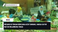 Meugang di Tengah Bencana Aceh Tamiang, Harga Sayur Mayur Melambung Tinggi