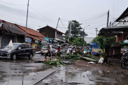 Hujan Deras Disertai Angin Kencang di Pemalang Robohkan Bangunan dan Pohon Besar