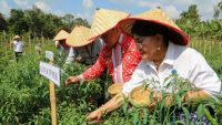 Petani Pematangsiantar dapat Dukungan Kolaboratif, Program Contract Farming Cabai Jadi Edukasi Berkelanjutan dan Jembatan Kesejahteraan Rakyat