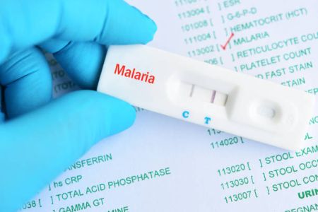 Dinkes: 100 Persen Kasus Malaria di Medan Impor dari Daerah, 8 Faskes Rujukan Disiagakan