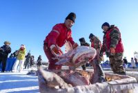 Studi Ungkap Penangkapan Berlebihan Picu Penurunan Pertumbuhan Ikan Global Sejak 1908