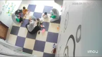 Viral Bayi Diduga Dianiaya di Daycare Banda Aceh, Pemkot Ungkap Tak Berizin dan Hentikan Operasional