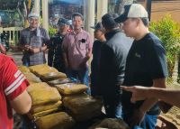 Sebanyak 33 Ball Ganja Tak Bertuan Ditemukan di Desa Padang Laru, Diduga Dibuang Pengedar