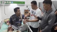 Lagi Nyadap Karet, Petani di Desa Rantau Kumpai Diserang Beruang