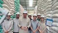 Jadi Lumbung Beras Sumatera, Wamentan: Perlu Gudang Tambahan di Sumsel