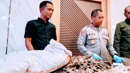 Polres Padangsidimpuan Ungkap Penjualan Sisik Trenggiling, Warga Batang Angkola Ditangkap