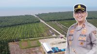 Dugaan Perambahan Hutan Lindung oleh Oknum Polisi di Langkat, Respons Kapolres Disorot