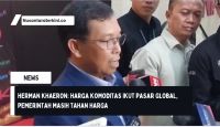 Herman Khaeron: Harga Komoditas Ikut Pasar Global, Pemerintah Masih Tahan Harga
