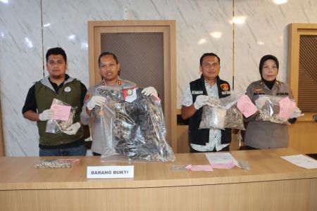 Diburu Hingga Direbus, Sindikat Perdagangan Kulit Harimau Dahan dan sisik Teringgiling di Padangsidimpuan Terbongkar