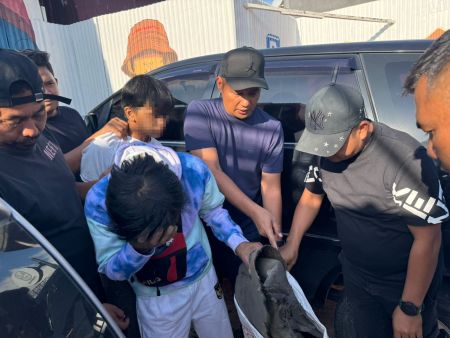 Polisi Gagalkan Penjualan Sisik Trenggiling dan Kulit Kijang di Sipirok