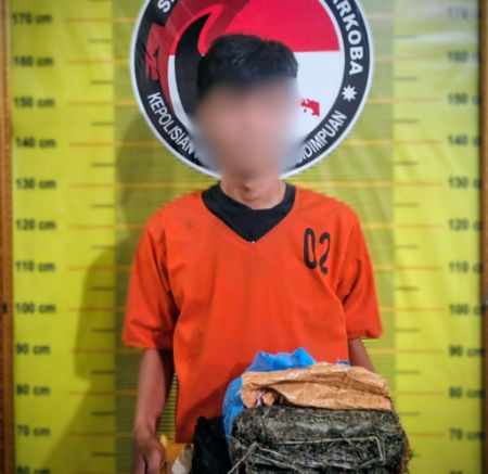 Polres Padangsidimpuan Gagalkan Peredaran Ganja di Jalan Merdeka, Satu Pelaku Buron