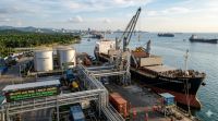 Imbas Penurunan Permintaan India, Harga Referensi CPO Indonesia Juni 2026 Terkoreksi