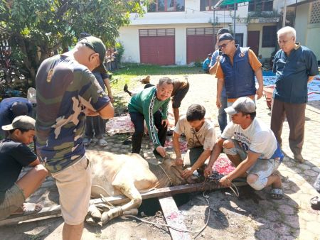 Iduladha 1447 H, PWI Sumut Sembelih 4 Sapi dan 2 Kambing