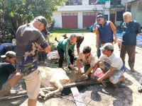 Iduladha 1447 H, PWI Sumut Sembelih 4 Sapi dan 2 Kambing