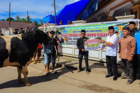 Sapi Kurban Bantuan Presiden Prabowo untuk Pasaman Disembelih di Alahan Mati