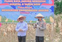 Panen Raya, Pemko dan Polres Padangsidimpuan Perkuat Dukungan Swasembada Pangan