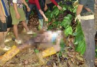 Gegara Asmara, Pria di OKU Nekat Tusuk Petani Hingga Tewas