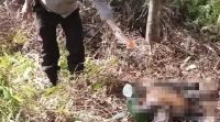 Polisi Ungkap Kasus Kematian Lansia di Muara Enim, Anak dan Cucu Kandung Jadi Tersangka Pembunuhan