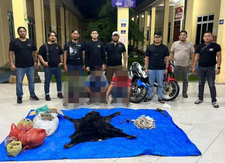 Polres Simalungun Gagalkan Penyelundupan 30 Kg Sisik Trenggiling dan Kulit Beruang