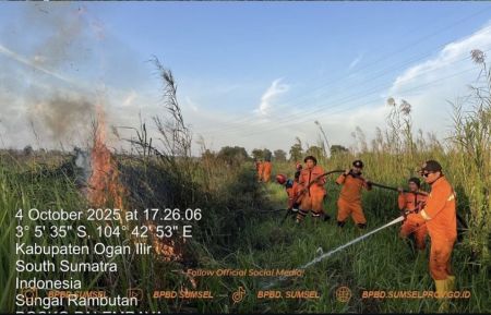BPBD Sumsel Padamkan 3 Hektare Lahan Gambut Terbakar di Muratara
