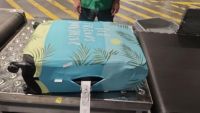 BNN Tangkap Dua WN Rusia di Bali, Sita 7,8 Kg Hashish: Kenali Narkotika Berdaya THC Tinggi Ini